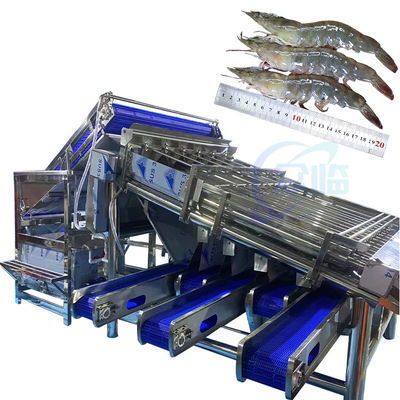 Schalentier-Sortiermaschine Garnelenreinigungs- und -sortiermaschine, automatisches Schalenschleifen, Schälen und Entfesseln von Garnelen