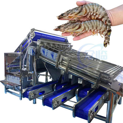 Guter Preis Meeresfrüchte Ausrüstung Shrimp Peeling Machine Shrimp Shell Verarbeitung Maschine Edelstahl-Roller Schnelle Shrimp Grading Mac Online