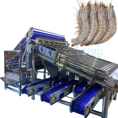 Vollautomatische Multifunktionsmaschine zur Sortierung und Einstufung von Fisch und Garnelen