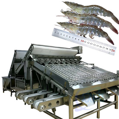 Verarbeitungsmaschine zur Sortierung von Meeresfrüchten und Garnelen, Sortierermaschine für Garnelen und Fische, Sortierermaschine für Krebse und Garnelen