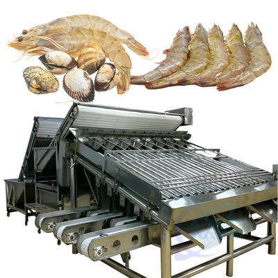 Guter Preis Automatische Fischsortiermaschine für die Lebensmittelverarbeitung Online