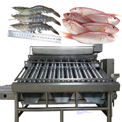 Guter Preis Automatische Fischsortiermaschine Sortiermaschine Fischgrößensortiermaschine Online