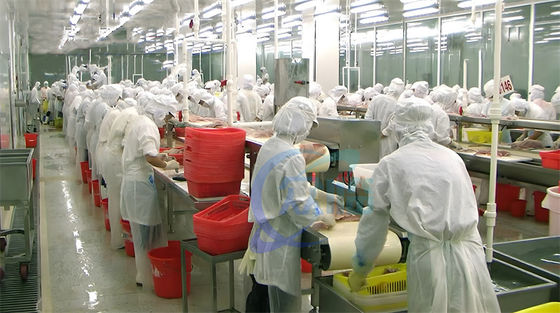 Guter Preis Zahlreiche Fälle Heißverkauf Tilapia Schälmaschine 0,75KW Tilapia Schälmaschine Hochstabil online