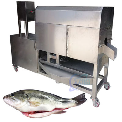 Guter Preis Vollautomatische Fischverarbeitungs-Produktionslinie Reinigung der Eingeweide von Karpfen, Karpfen, Mandarinen, Perchen und anderen Fischen Online