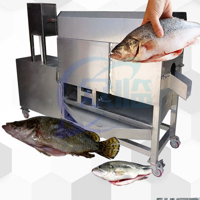 Automatische Fischentwässermaschine für die Reinigung und Waschmaschine für die Viscera