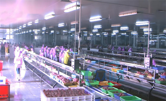 Guter Preis 3.03KW Fischverarbeitung Produktionslinie Montageplattform Fisch Entkopfung Produktionslinie Tabelle Online