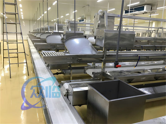 Guter Preis 1506kg Meeresfrüchte Produktionslinie Edelstahl Custom Workbench Fisch- und Garnelenverarbeitungslinie Förderband Online