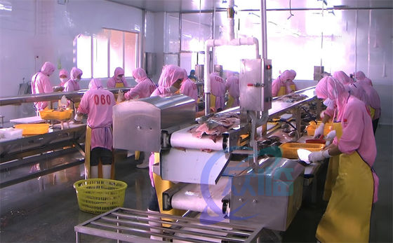 Guter Preis Fisch- und Garnelenverarbeitungsmaschine Förderband Meeresfrüchtefabrik Arbeitsbank Garnelenverarbeitungslinie Online