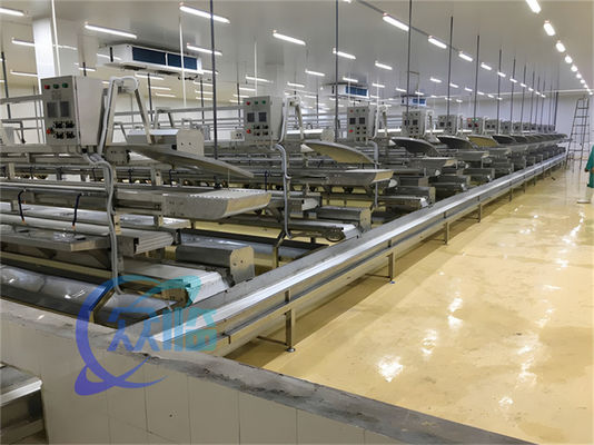 Guter Preis 3.10KW Fischerförderer Fischverarbeitungslinie Fische Entkalkung Produktionslinie Wels Skinne Online