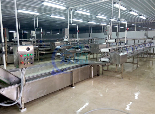 2.22KW SS Waschmaschine für Obst- und Gemüseverarbeitung Produktionslinie Salat Kohl Luftsprüh Waschmaschine
