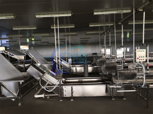 Guter Preis Automatische Meeresfrüchte-Fisch-Hochdruck-Blasenwaschmaschine, Garnelen-Reinigungsmaschine, Auftau-Förderband Online
