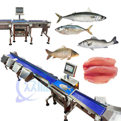 Guter Preis Hochwertige Fisch Sortiermaschine Fisch Größenmaschine Leistung 1,3KW Fokus Fisch Einstufung Online