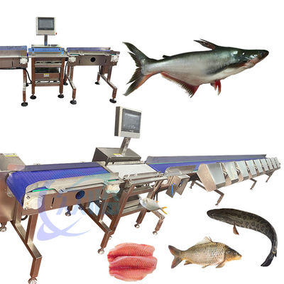 Guter Preis Hochgenaue Fisch-Sortierungsmaschine SUS 304 Langlebiger Fisch-Sortierer Automatischer Fisch-Sortierer Online