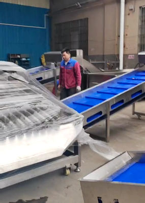 Guter Preis Großkapazität 5-10 T/h Pelagische Fischsortierer für automatische Fischsortierungslinie Online