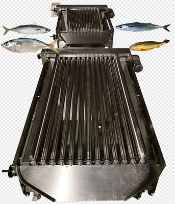 Vier Arten automatische Makrelen-Klassifizierungslinie und Pelagische Fisch-Sortierungsanlage