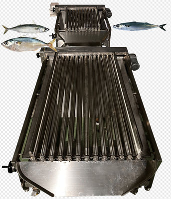 Guter Preis Vier Arten automatische Fisch-Klassifizierungs-Linie und Soring Makrele-Maschine Online
