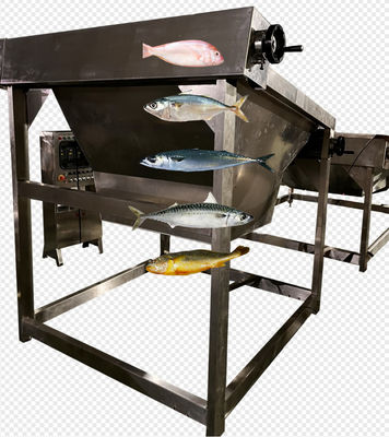 Guter Preis Vier Arten Automatische Fischsortierlinie und Mackerelgrößen-Linie mit 5-10T/h Online
