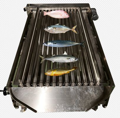 Guter Preis Hochgeschwindigkeits-automatische Fischgrößenmaschine zur Einstufung vieler Meeresfische Online