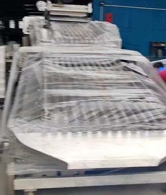 Guter Preis PLC-Steuerung für die Sortierung kleiner Fische Online