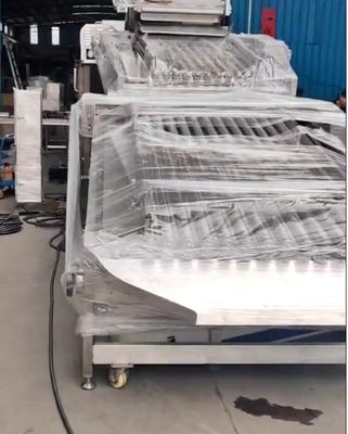 Vier Modelle Automatische Fischgrößenmaschine und Soring Yellow Croaker hoch stabil