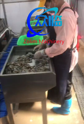 Guter Preis 0.35KW Automatischer Shrimp Cutter Multifunktions Shrimp Cutter und Entfernen der Vene Online