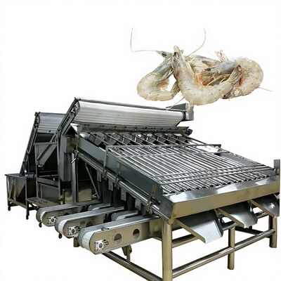 Guter Preis SUS304 Praktische Shrimp Sortiermaschine, Korrosionsfeste Shrimp Grader Hochkapazität Shrimp Sizing Machine Shrimp Sorter online