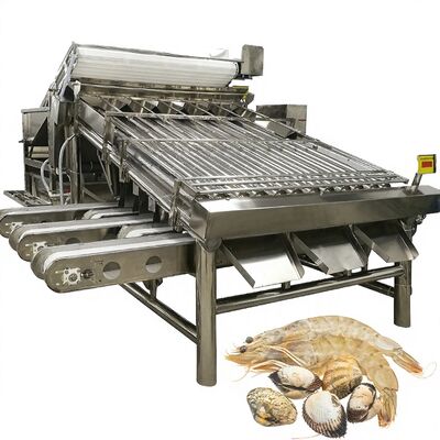 Guter Preis Edelstahl-Garnelen-Sortierungsanlage Stabile Anti-Erosion 4,9KW Garnelen-Size-Maschine für Garnelen-Anlage Automatische Garnelen-Graderer online