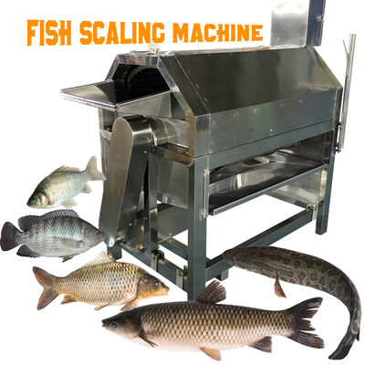 Guter Preis Fischschraubmaschine aus Edelstahl online