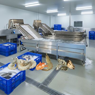 Guter Preis Zolim Blaswaschmaschine für Meeresfrüchte 2.2kw Fischreinigungsmaschine Smart Shrimp Waschmaschine für Meeresfrüchte Verarbeitung Fabrik Online