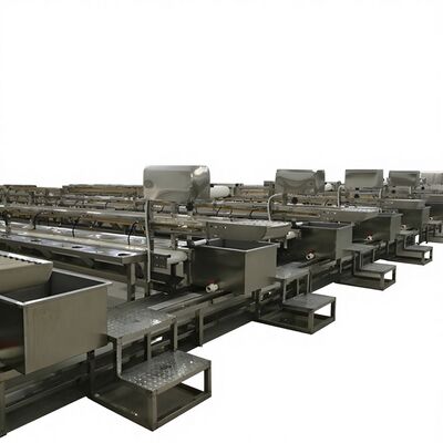 Guter Preis Garnelenverarbeitungslinie Garnelenentkopplungs- und -schalenverarbeitungslinie Fischverarbeitungsfabrik Produktionslinie online