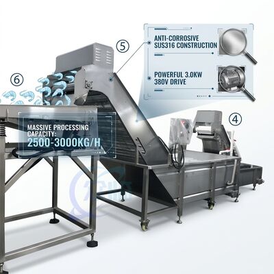 Guter Preis Heavy Duty Shrimp Deheading Production Line Precision SUS316 1000-1500KG 11.7KW 415V online