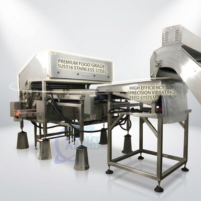 Guter Preis Stainless Steel Shrimp Head Removal Machine SUS316L 500-800KG 5.5KW 60Hz Für die Garnelenverarbeitungsanlage online