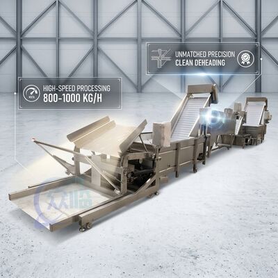 Guter Preis SUS316 Shrimp Deheading System Food Grade SUS304 800-1000KG 3.0KW 415V For Fish Processing Plant online