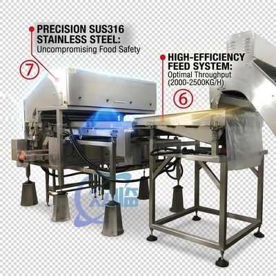 Guter Preis Rugged Shrimp Head Separator SUS304 Stainless Steel 800-1000KG 15KW 440V For Shrimp Processing Plant online