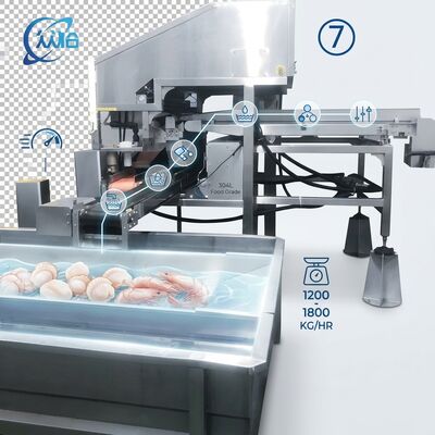 Guter Preis High Output Shrimp Processing Machine Hygienic SUS304 500-800KG 0.8KW 220V For Seafood Export Company online