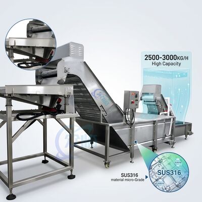 Guter Preis Multiscene Garnelenentkopfungs-Sortiermaschine SUS304 Edelstahl 1500-2000KG 3,0KW 380V online