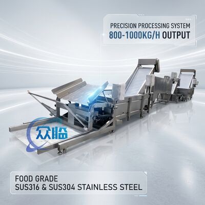 Guter Preis Dauerbetrieb Fischverarbeitungsanlagen Ausrüstung Lebensmittelqualität SUS304 2500-3000KG 0,8KW 60Hz online