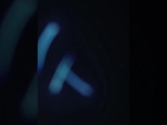 Garnelen-Sortiermaschine, Garnelenreinigungs- und Sortiermaschine, Garnelen-Screening-Maschine nach der Beschichtung